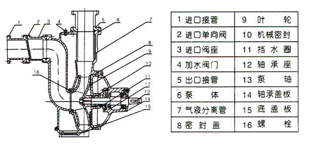 ZW自吸式無堵塞红杏污视频免费下载結構圖